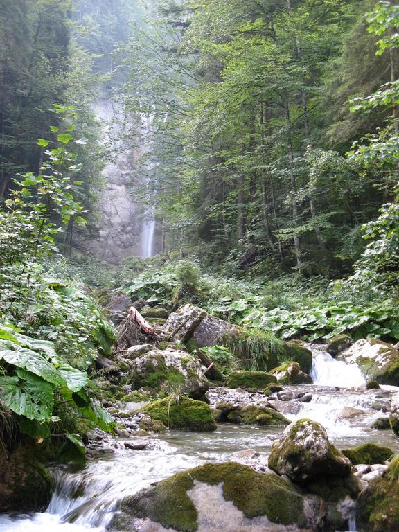 Waldgasthaus Lehmen Hotel Weissbad Bagian luar foto